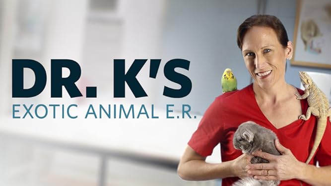 Watch Dr K S Exotic Animal Er Season 8 Prime Video K and her team take care of lily, the tamarin monkey, which was injured playing with the family dog as well as a tree boa with a blocked windpipe. watch dr k s exotic animal er season 8