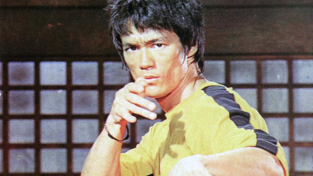 bruce lee video picture