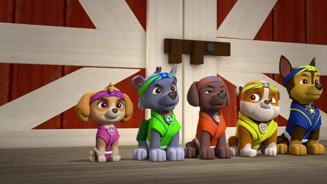 Amazon Prime Paw Patrol Amazon Prime Paw Patrol