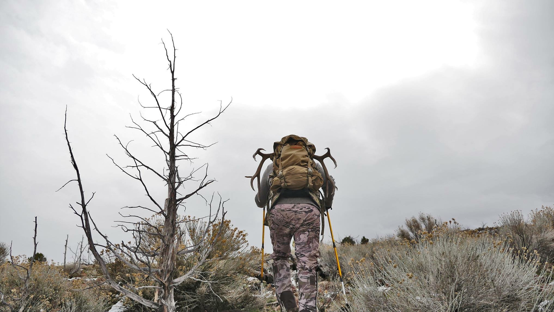 solo backpack hunting