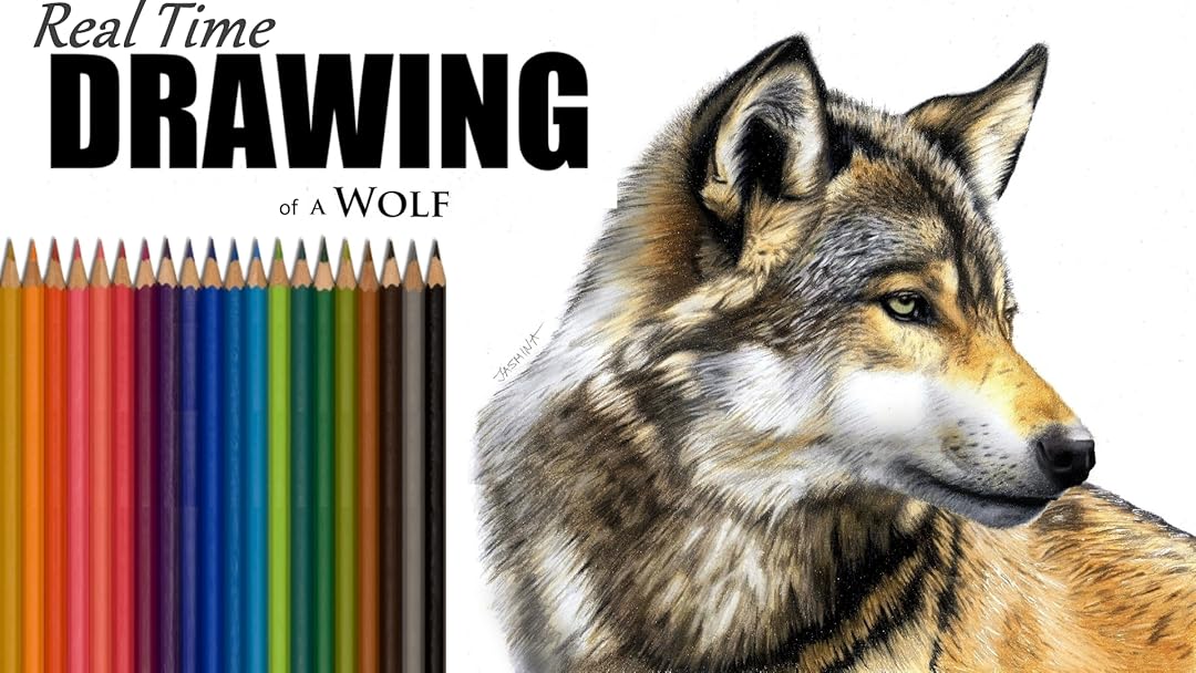 Watch Real Time Drawing Of A Wolf Prime Video