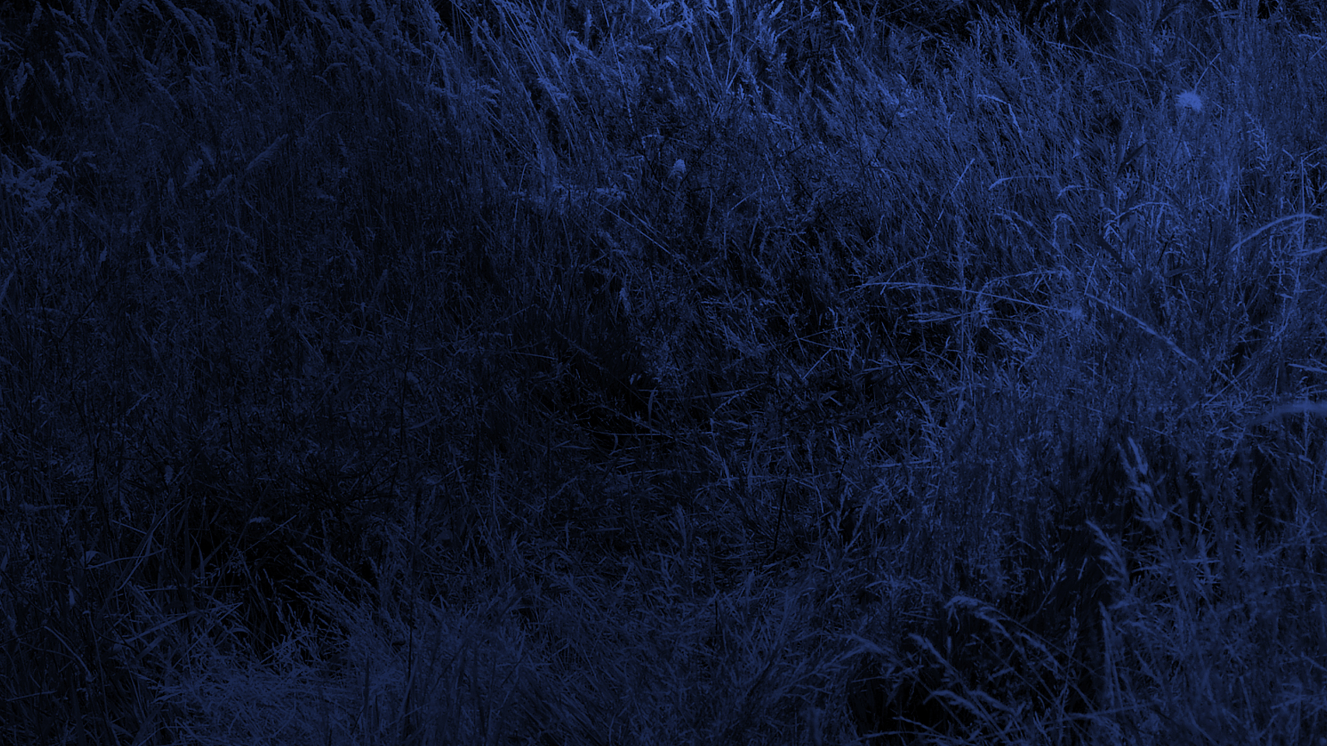 Watch House Of Bedlam Prime Video Bedlam house is a production company dedicated to the promotion and distribution of works from international folk and acoustic musicians. watch house of bedlam prime video