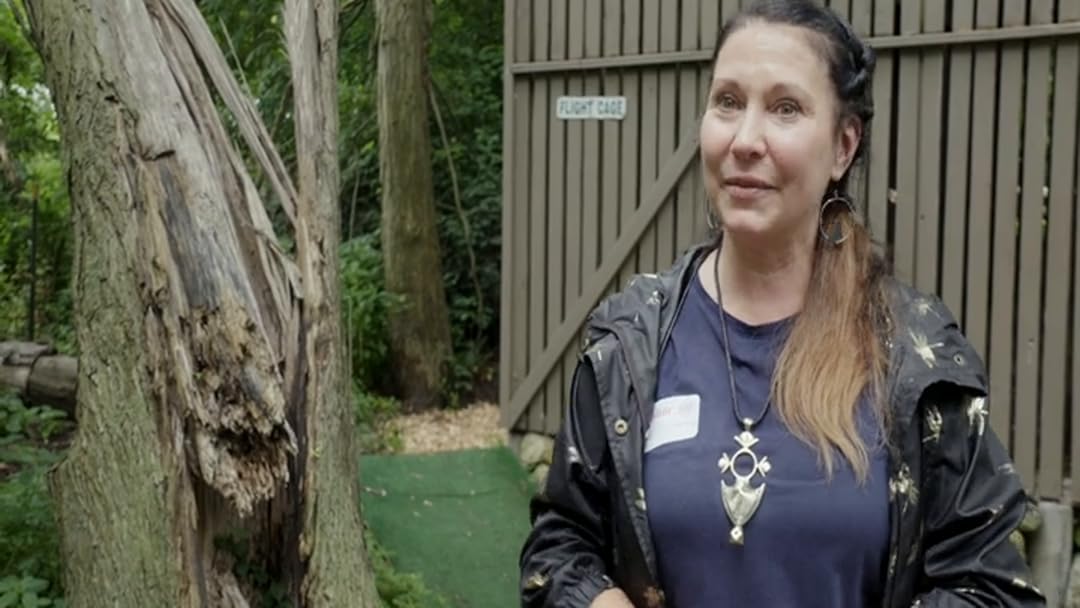 Watch The Zoo Season 4 Prime Video Please use a supported version for the best msn experience. watch the zoo season 4 prime video