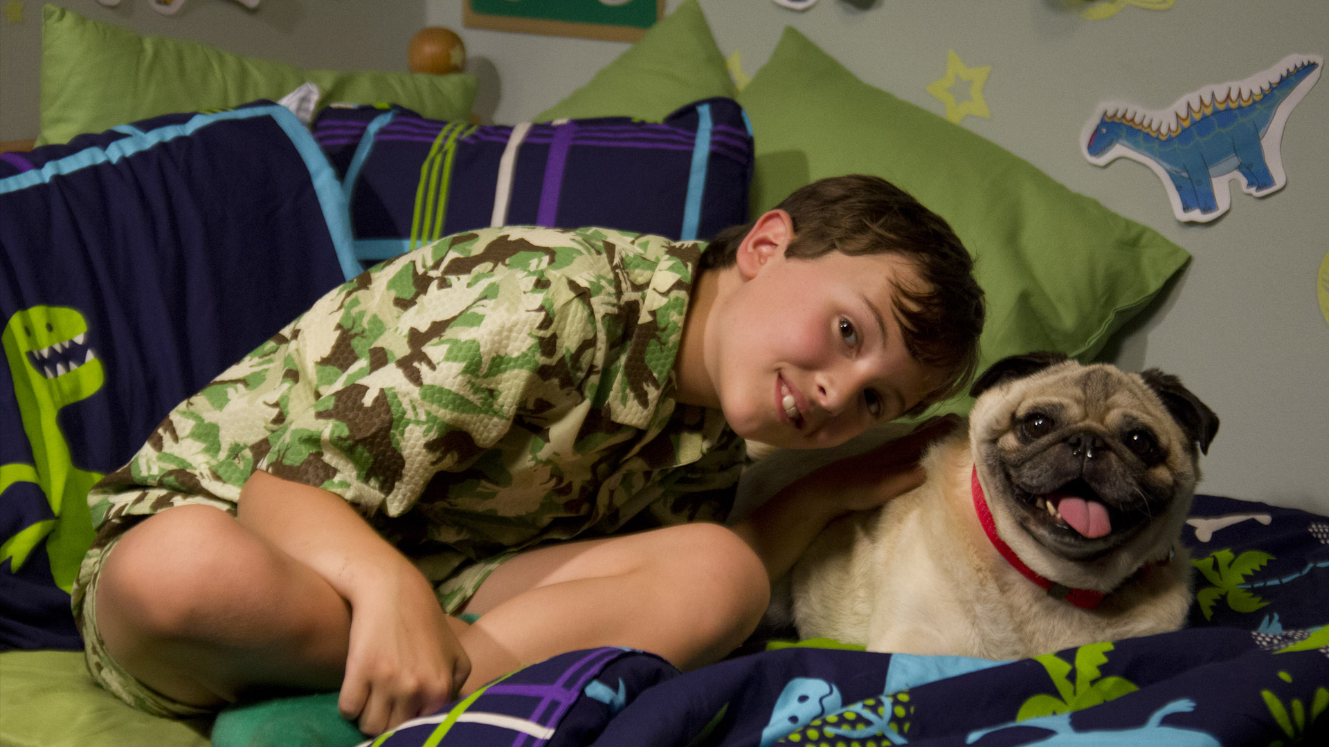 dino dan toys amazon