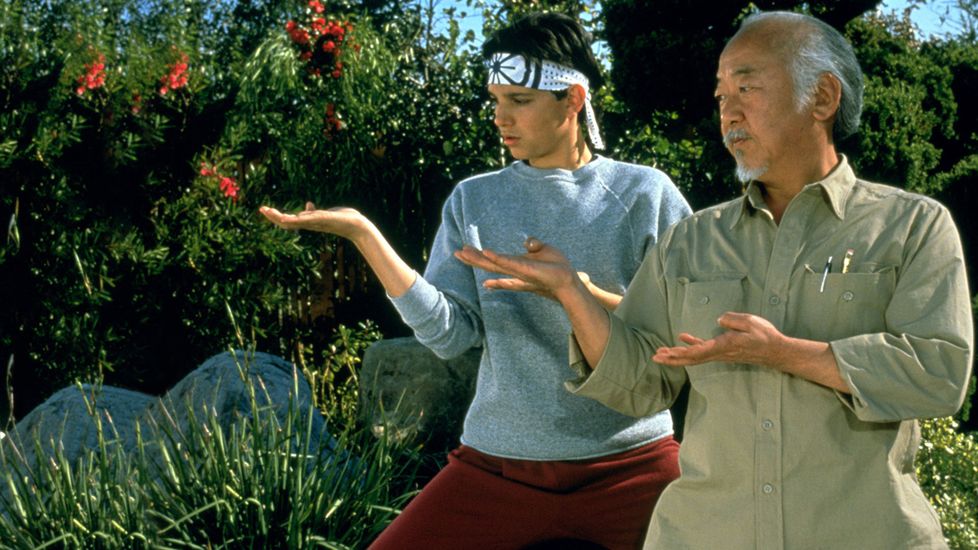 Watch Cobra Kai Season 01 Prime Video