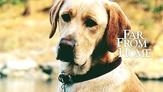 Amazon Com Watch Red Dog True Blue Prime Video