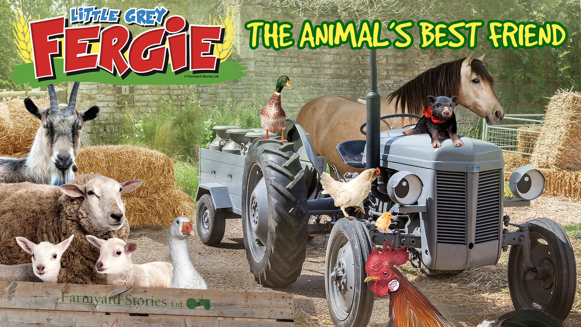 Watch Little Grey Fergie The Animal S Best Friend Prime Video