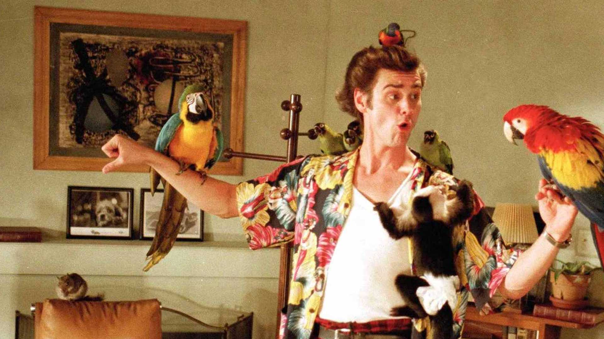 Ace Ventura Pet Detective Streaming Amazon.com: Watch Ace Ventura: Pet Detective | Prime Video