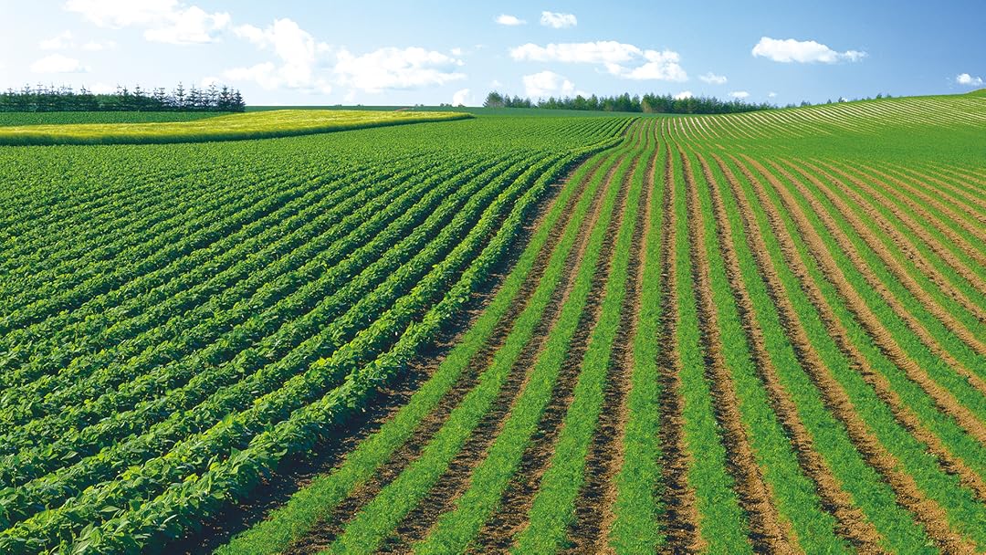 M fields. M fields. Remix а4. Красивое поле. Зеленые луга.