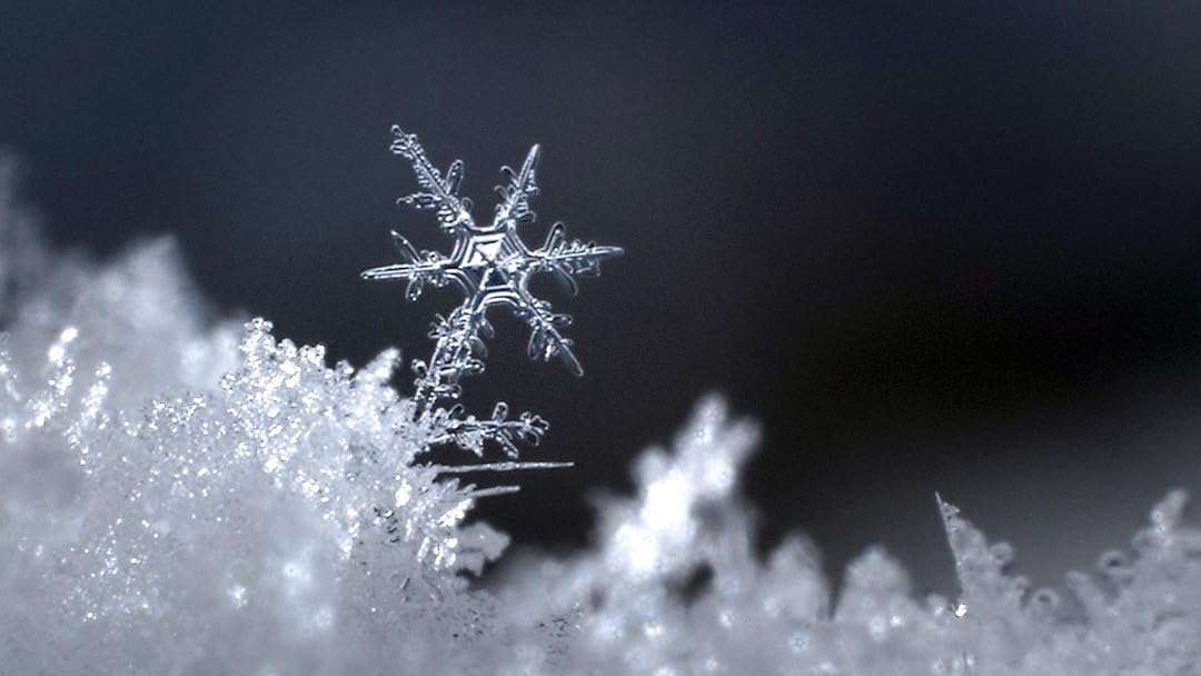 Watch Let It Snow Prime Video