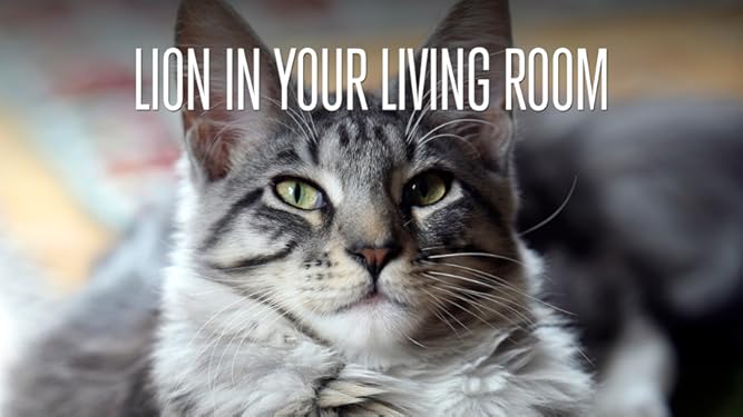Amazon Com Watch The Lion In Your Living Room Prime Video