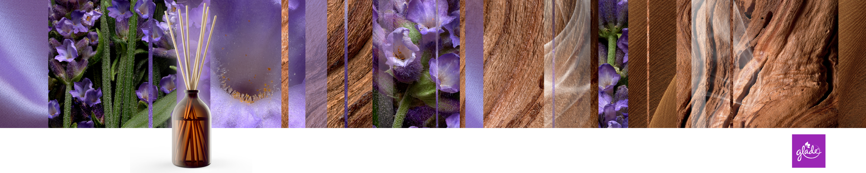 Amazon.es Aromatherapy by Glade® Varillas