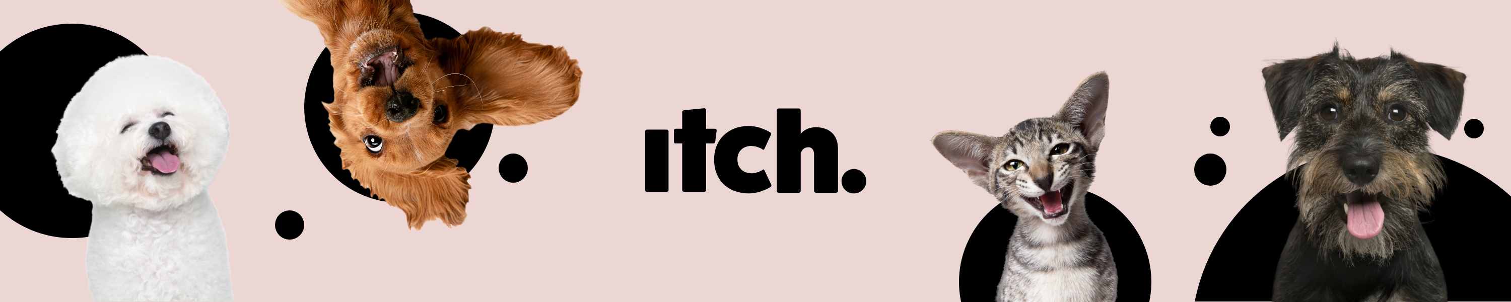 Amazon.co.uk Itch Flea Treatments