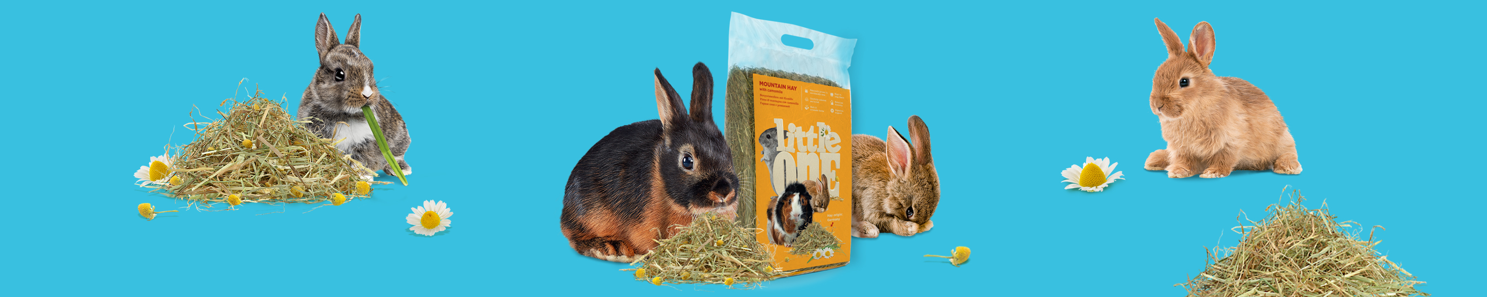 Amazon.co.uk Little One Hay for rabbits