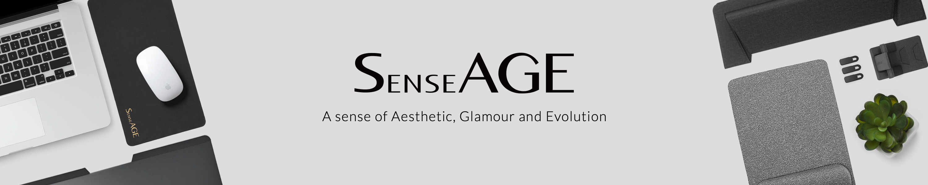 Amazon.co.uk SenseAGE iPad & iPhone Accessories