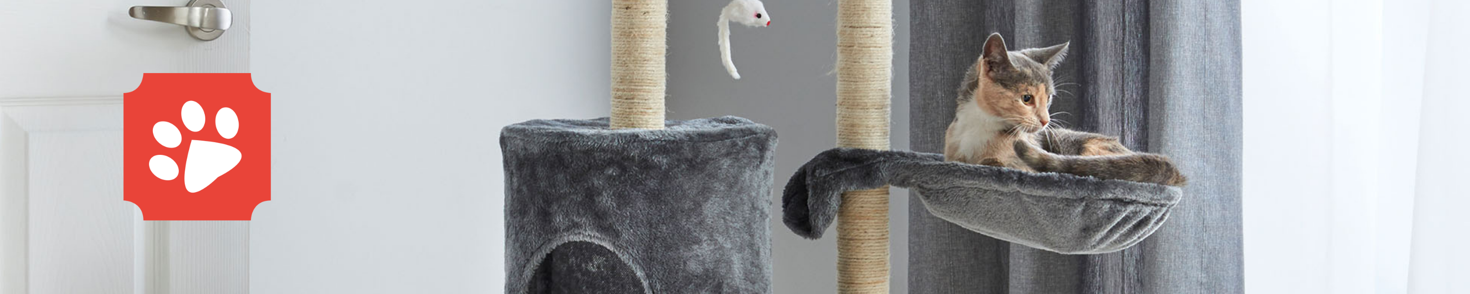 Amazon.co.uk Milo & Misty