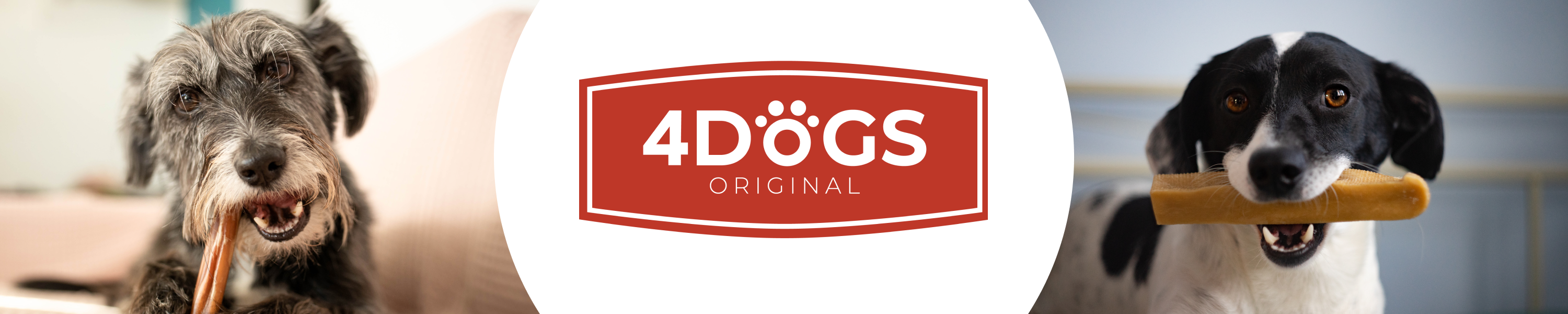 Amazon.de: 4DOGS Original: Churpi Himalayakäse