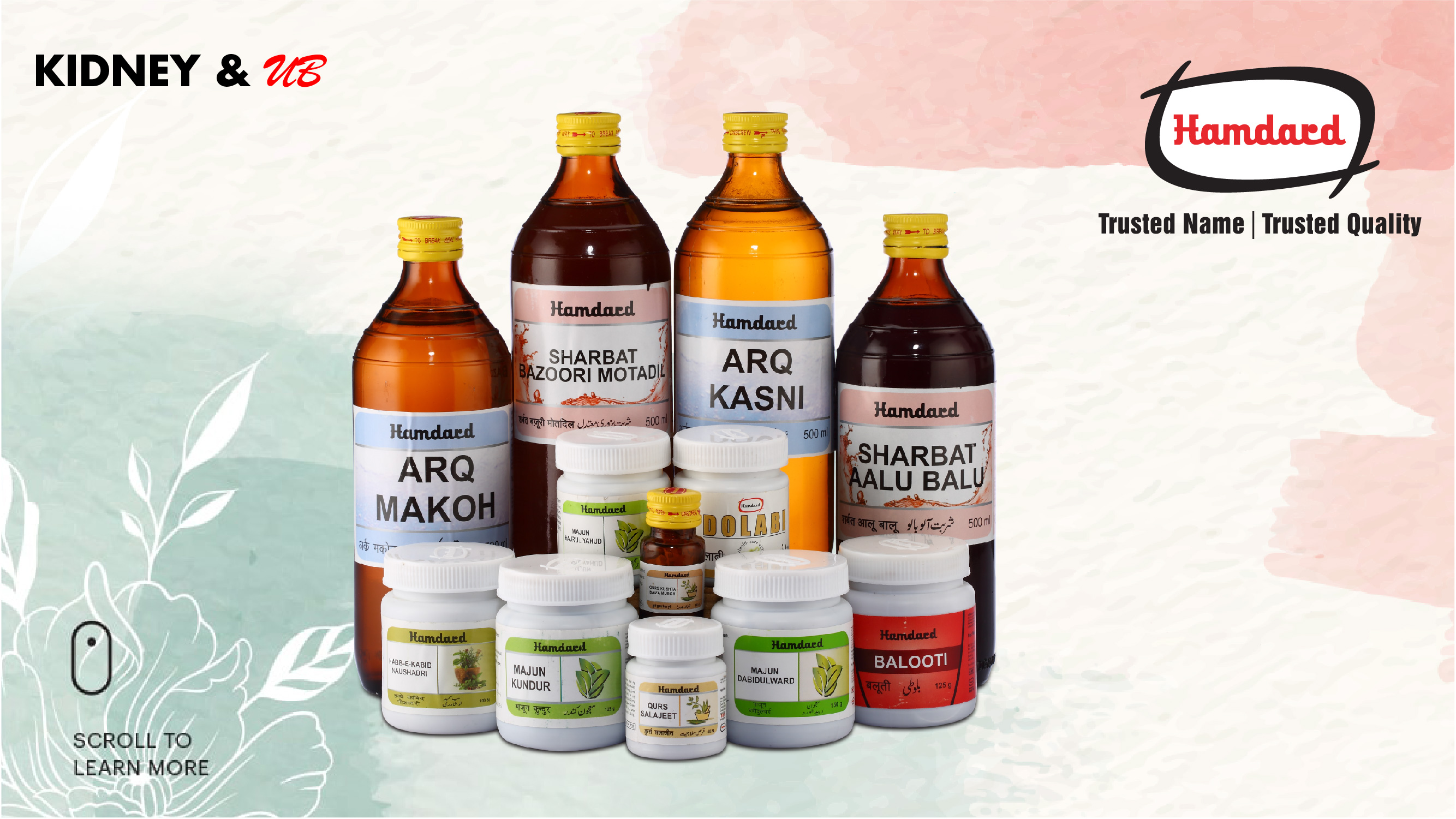 Amazon.in Hamdard Laboratories India Kidney & UB