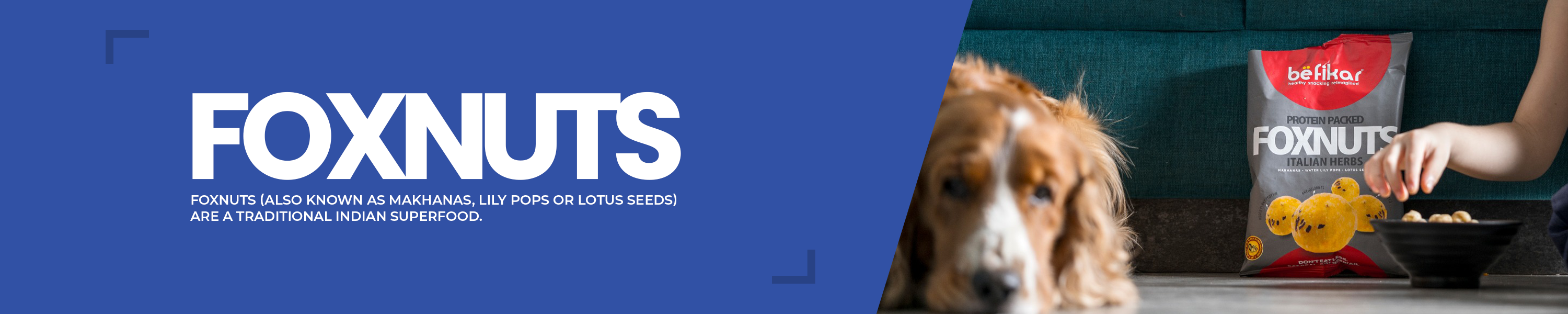 Amazon.in Befikar fox nuts