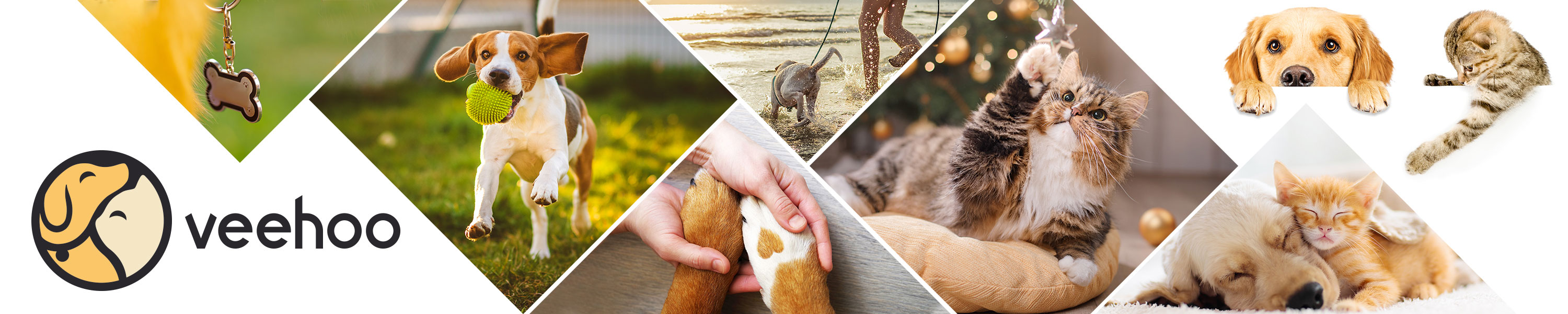 Amazon.co.uk Veehoo NEW RELEASE