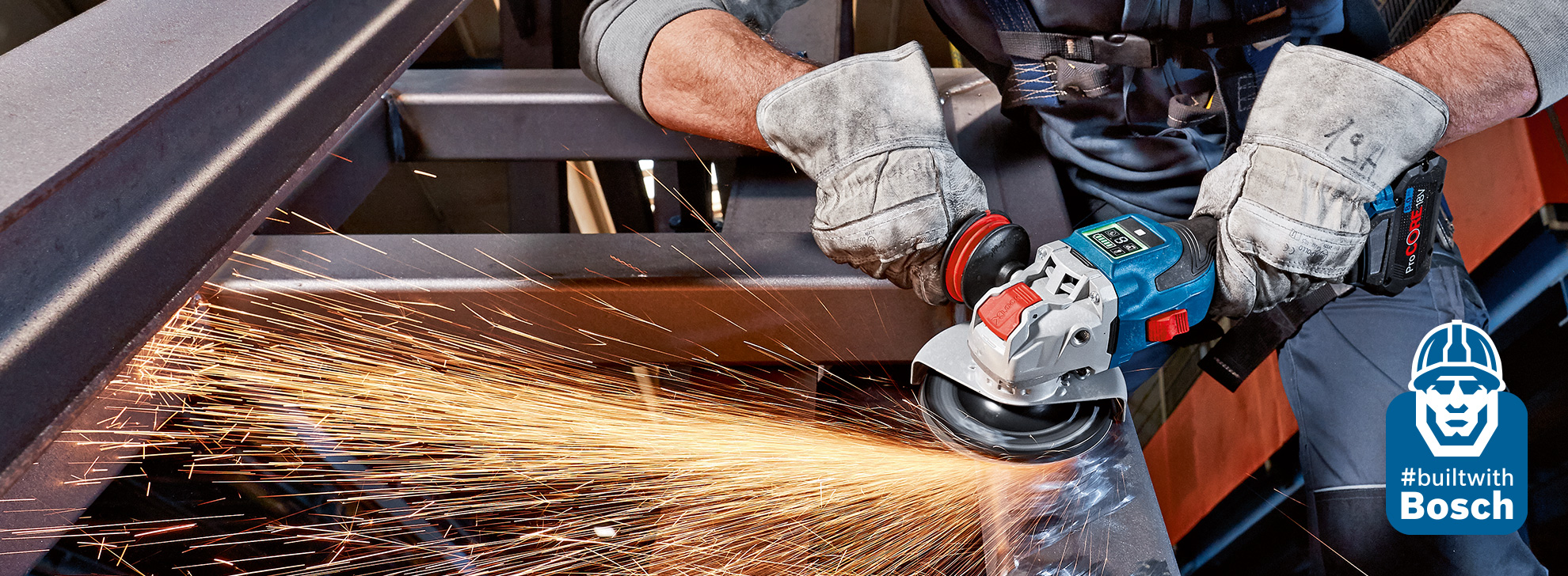 Bosch Professional Accessories Grinding