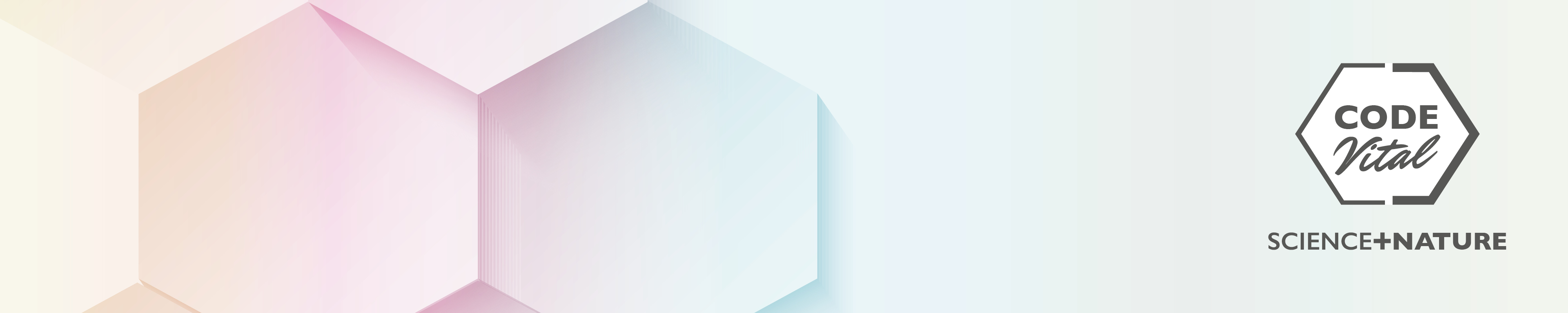 Amazon.de CODE VITAL