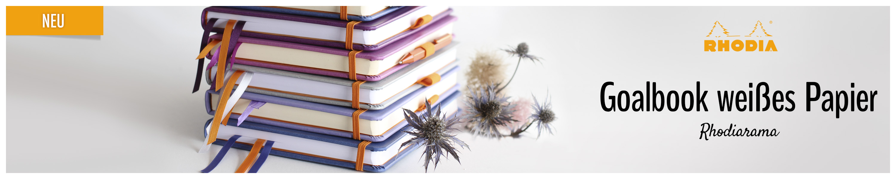Amazon.de Rhodia Goalbook mit weißem Papier