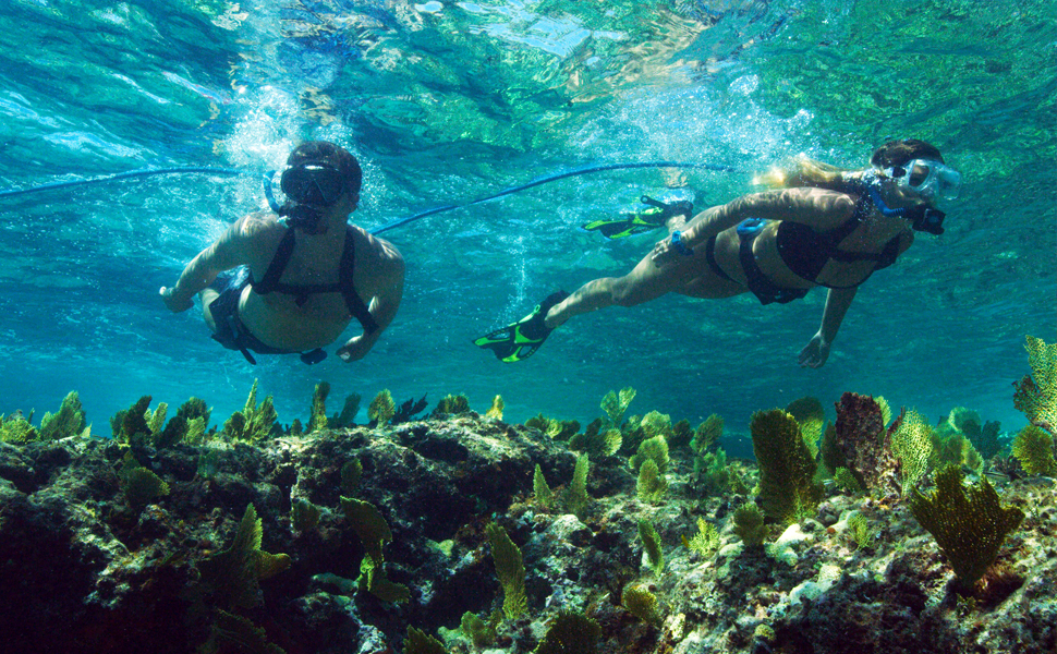 Amazon.es: BLU3: NEMO DIVE SYSTEM