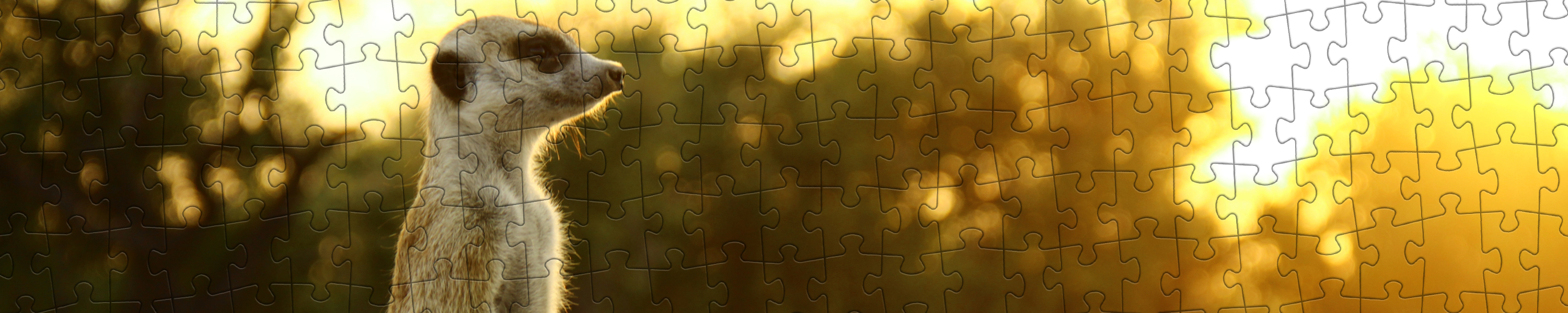 Amazon.de puzzleYOU weitere Tiere