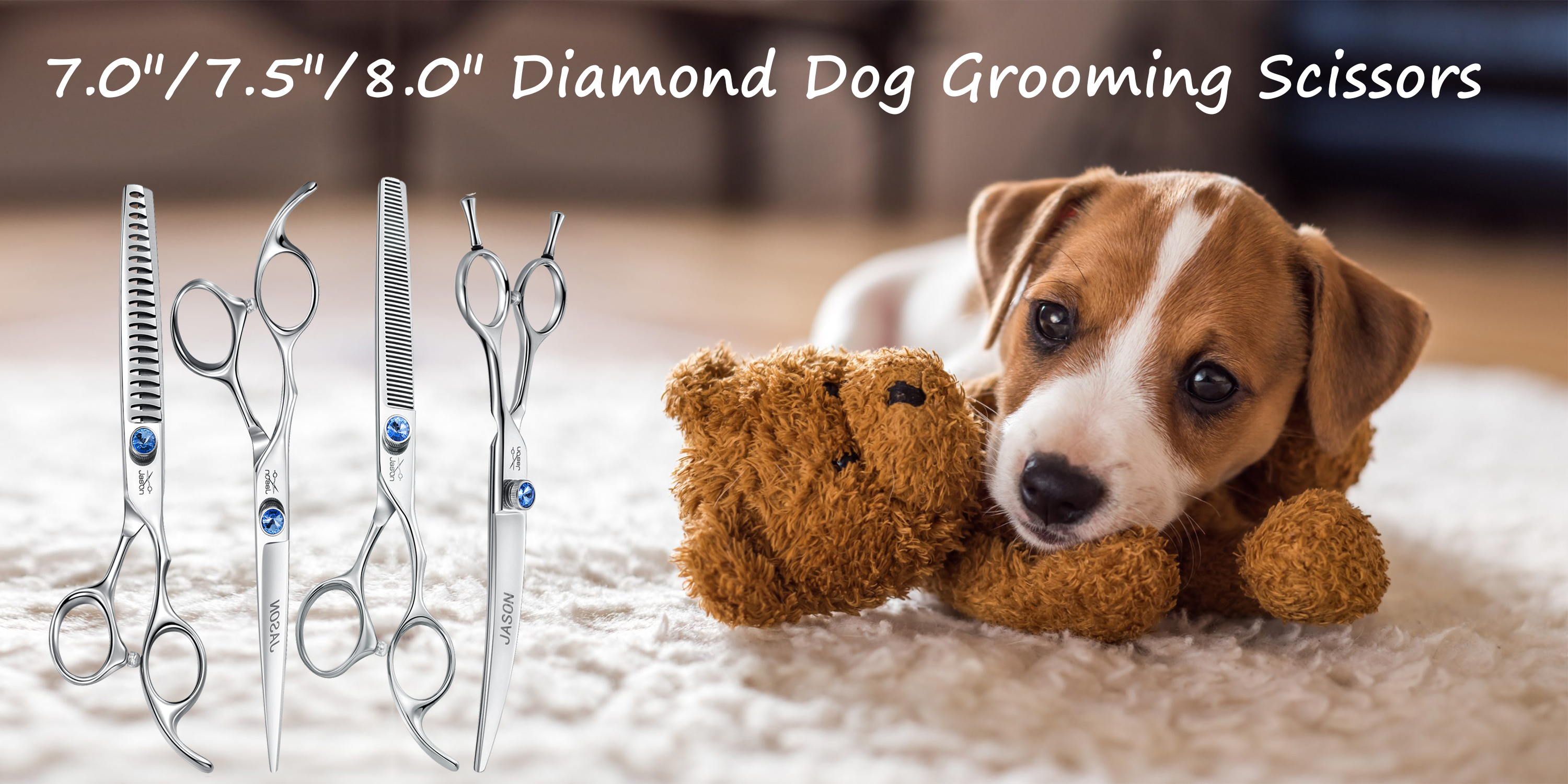 Amazon.co.uk Jason Pet Grooming Scissors