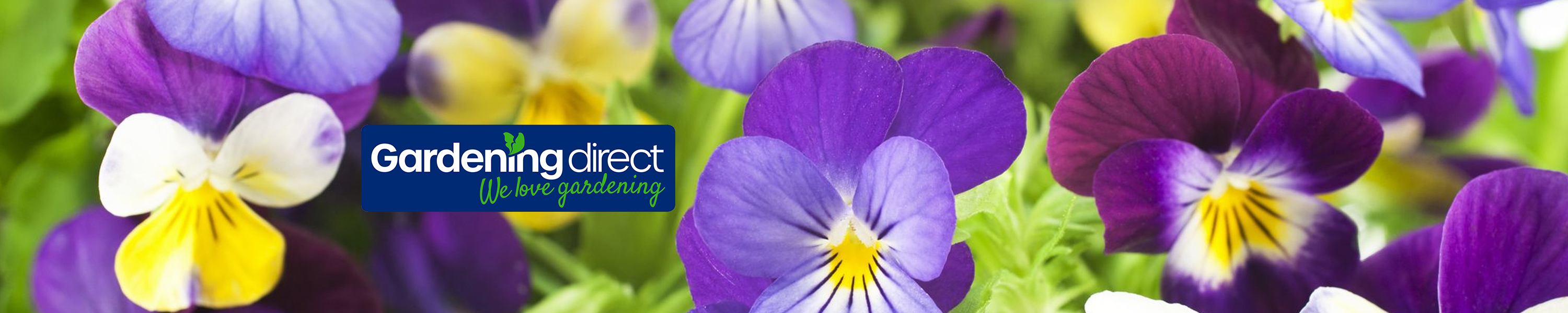 Amazon.co.uk Gardening Direct