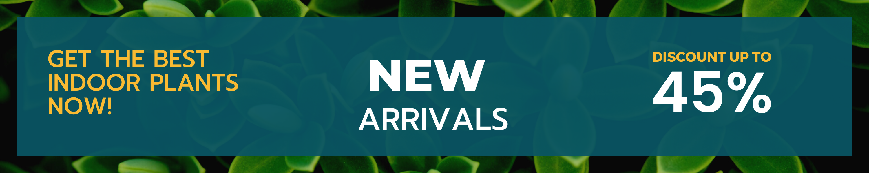 Amazon.in Green Steps® NEW ARRIVALS