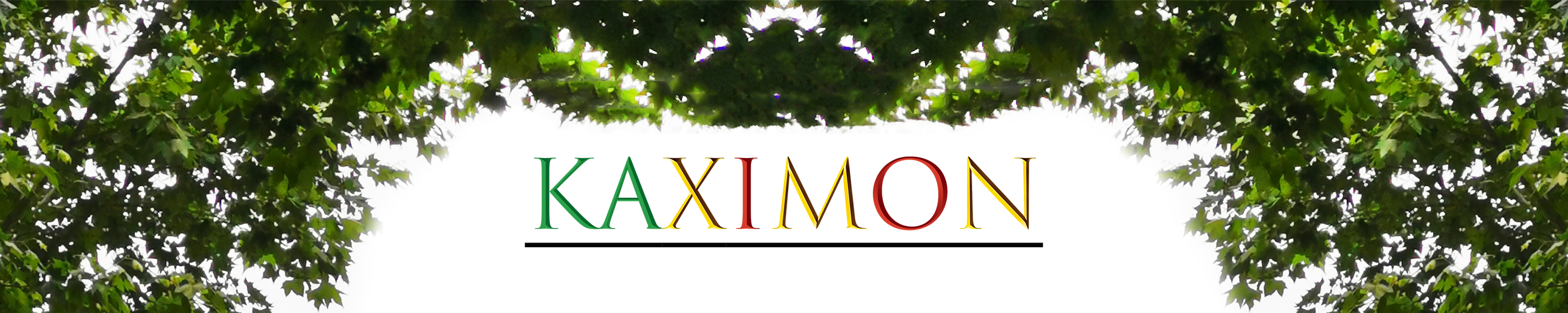 Amazon.de KAXIMON Bath Towel Holder