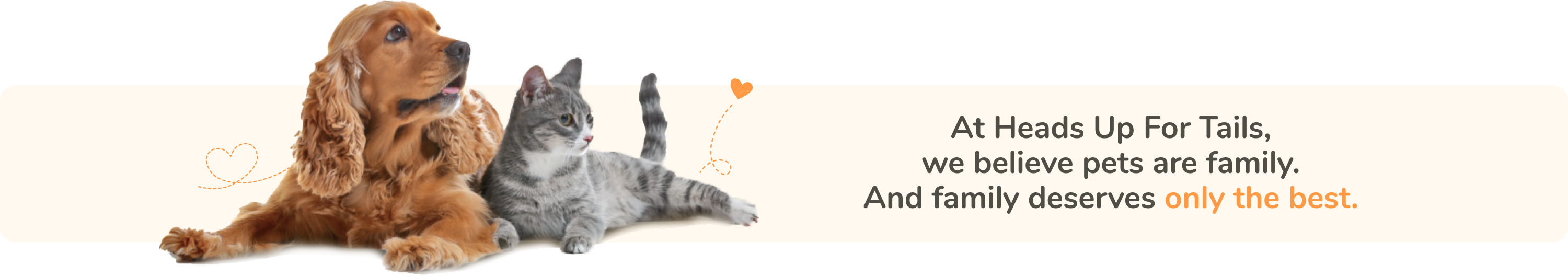 Amazon.in Heads Up For Tails Jungle Collection