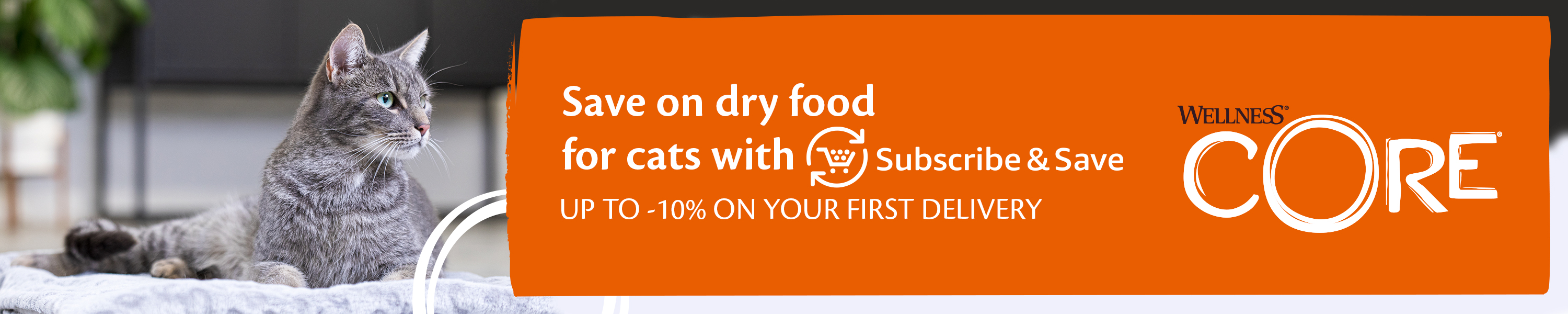Amazon.co.uk Wellness CORE Dry Cat Food