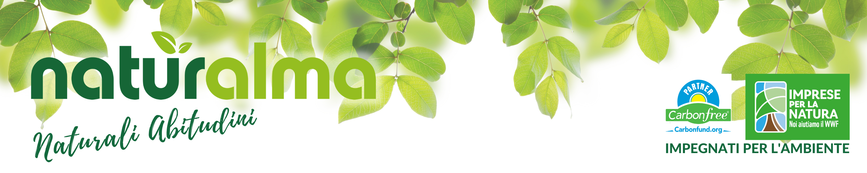 Amazon.co.uk Naturalma Assenzio