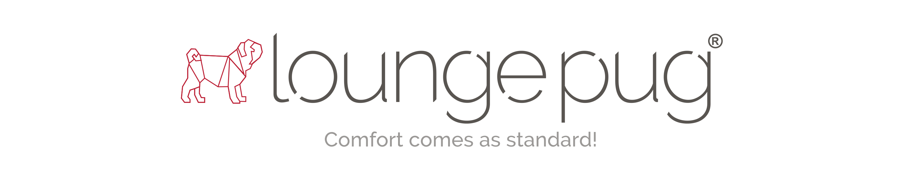 Amazon.de Lounge Pug Giant bean bag