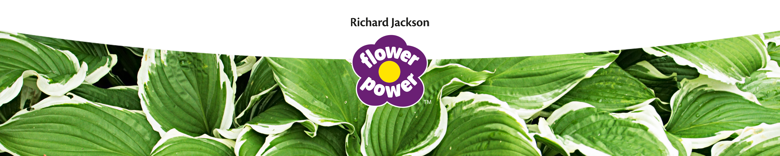 Amazon.co.uk Richard Jackson Flower Power Pest & Weed Control