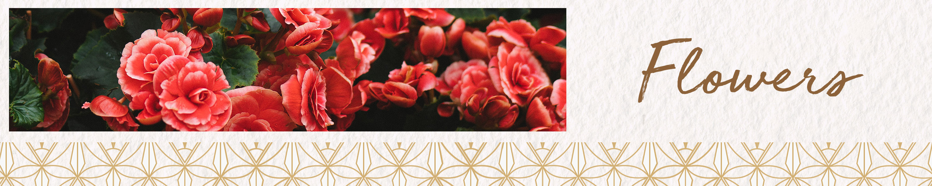 Amazon.in Archies Gallery Flowers