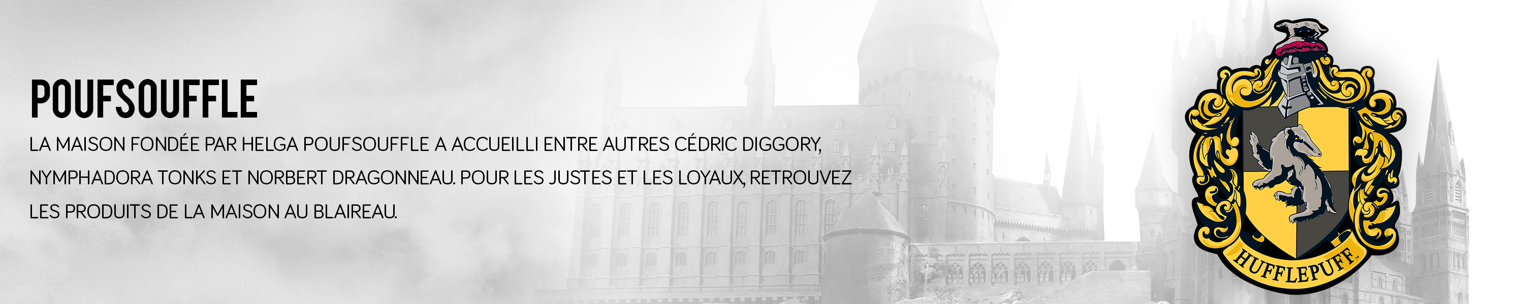 Amazon.fr Cinereplicas Poufsouffle