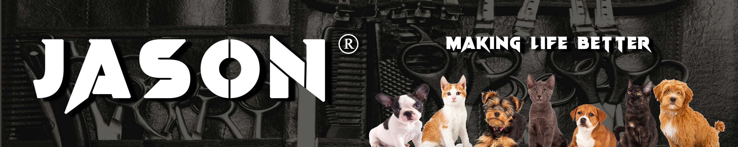 Amazon.co.uk Jason Pet Grooming Scissors