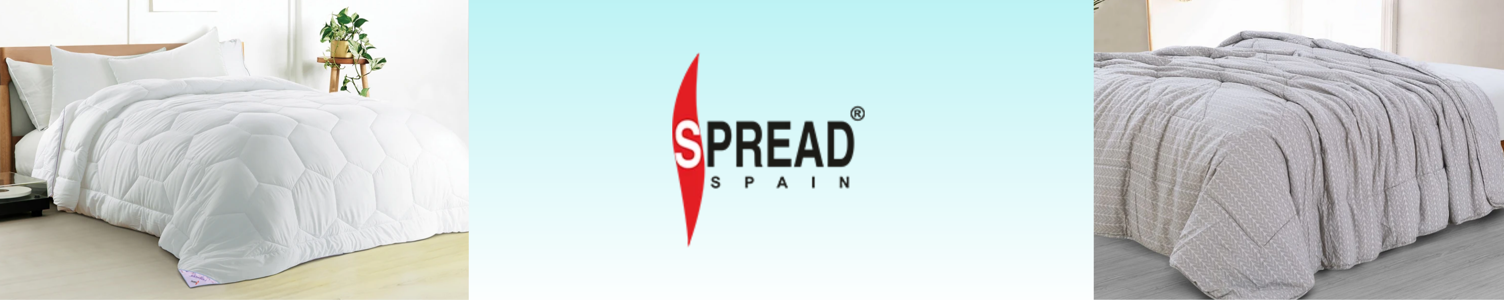 Amazon.in Spread Spain QUILTS