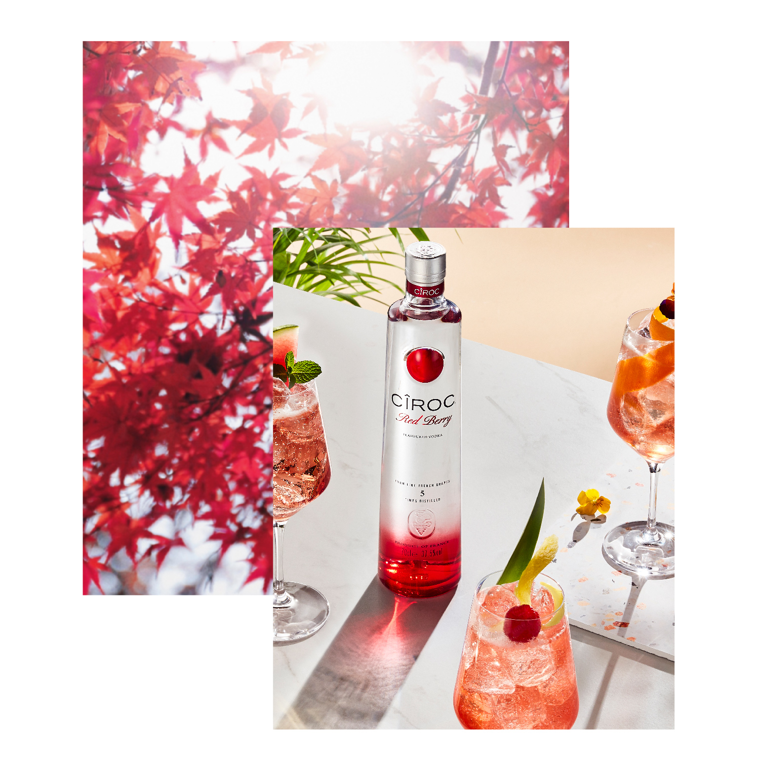 Amazon Co Uk Ciroc Red Berry