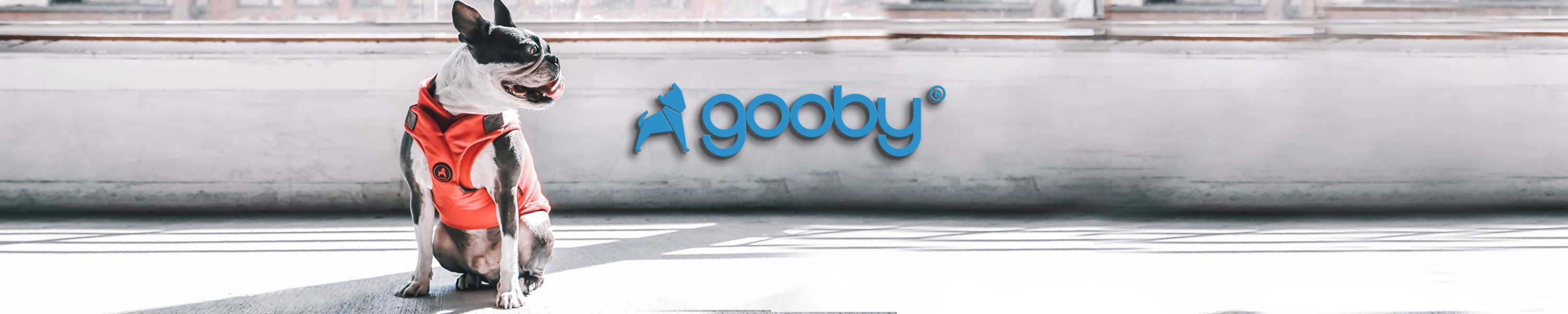 Amazon.co.uk: Gooby: Pull Over