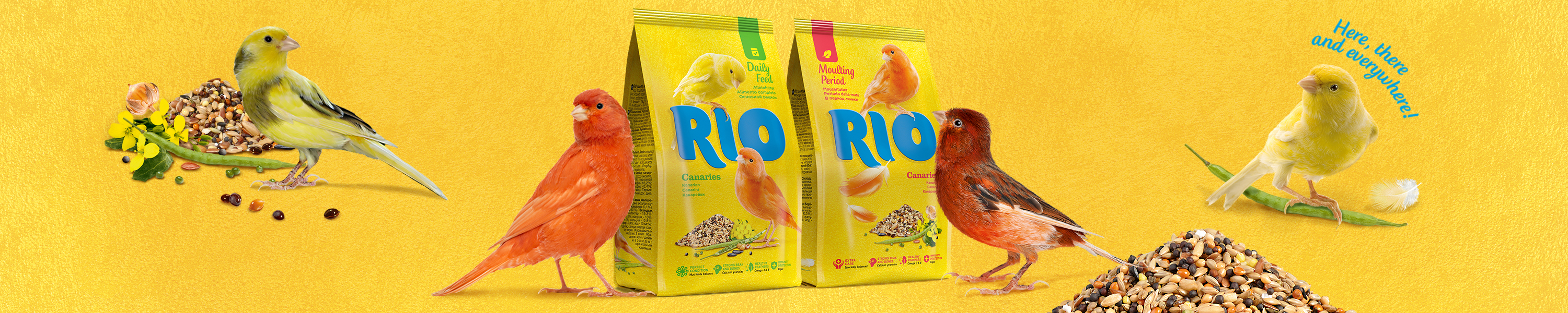 Amazon.co.uk: RIO: Daily feed for Canaries