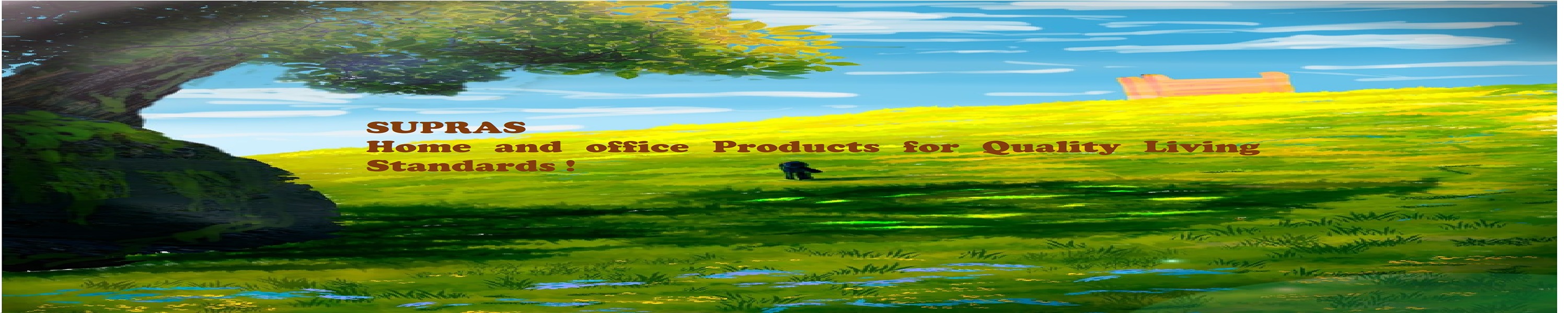 Amazon.in SUPRAS TRADING HOUSE Microwave Stand