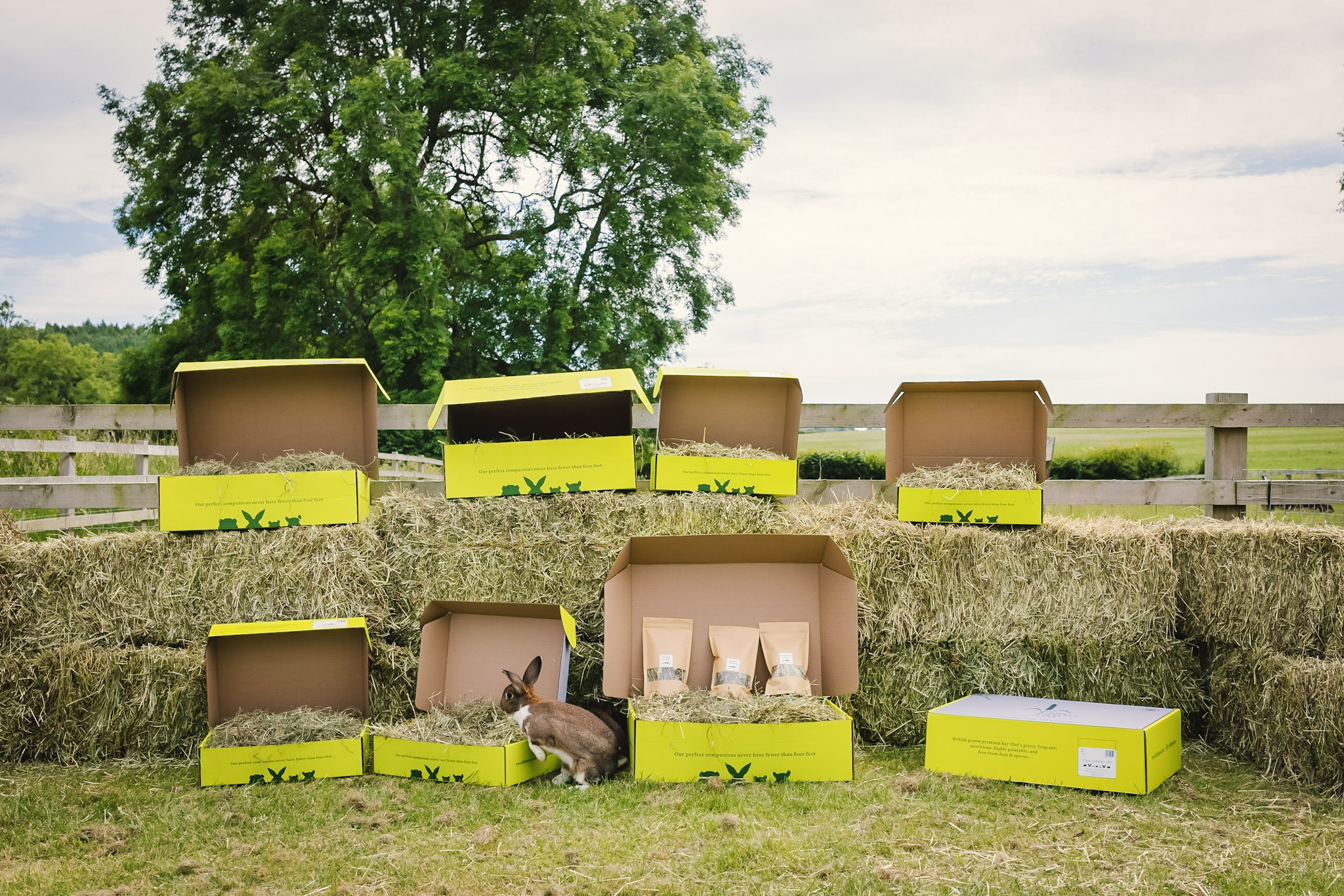 Amazon.co.uk: The Little Hay Co.