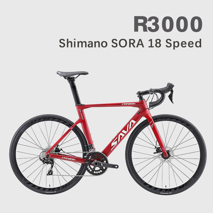 SAVADECK: Carbon Rennrad