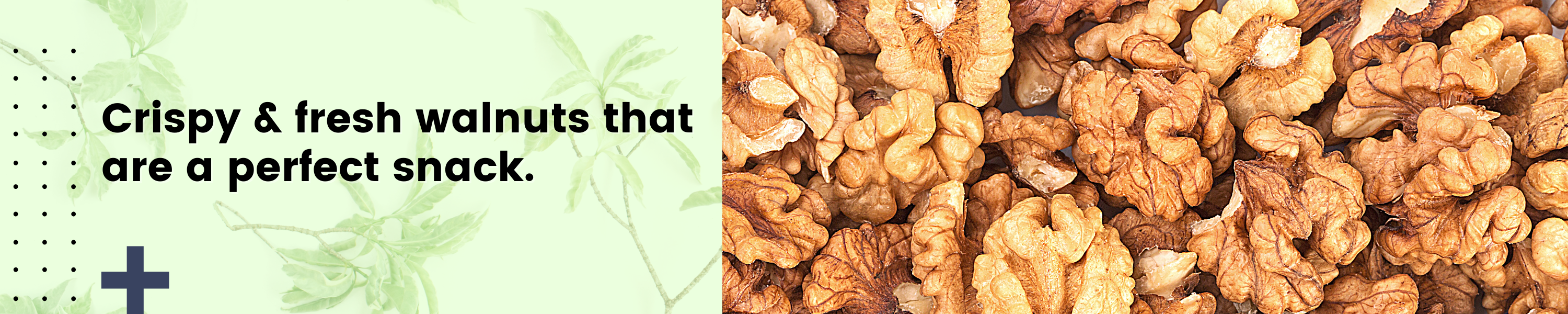 Amazon.in: TIM TIM: California Walnuts