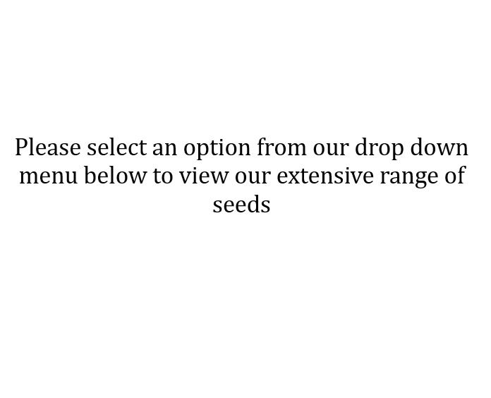 Amazon.co.uk Premier Seeds Direct Flowers